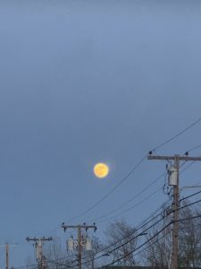 luminescent moon in the dark sky