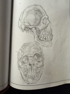 Sketched image of skulls